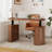 Electric Standing Desk With Storage, Home Office Height Adjustable Standing Desk With Cabinet-1202768192