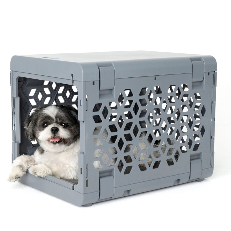 PAWD® | Modern Dog & Pet Crate - Caisse pliable pour chiens, Gris, Petit (H 16 po x l 16 po x L 21 po)
