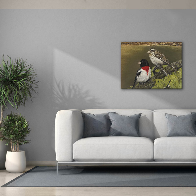 «Epic Graffiti» «Rose Breasted Grosbeak pair» par Jim Brune, art mural sur toile, 34 po x 26 po, H 26 po x l 34 po