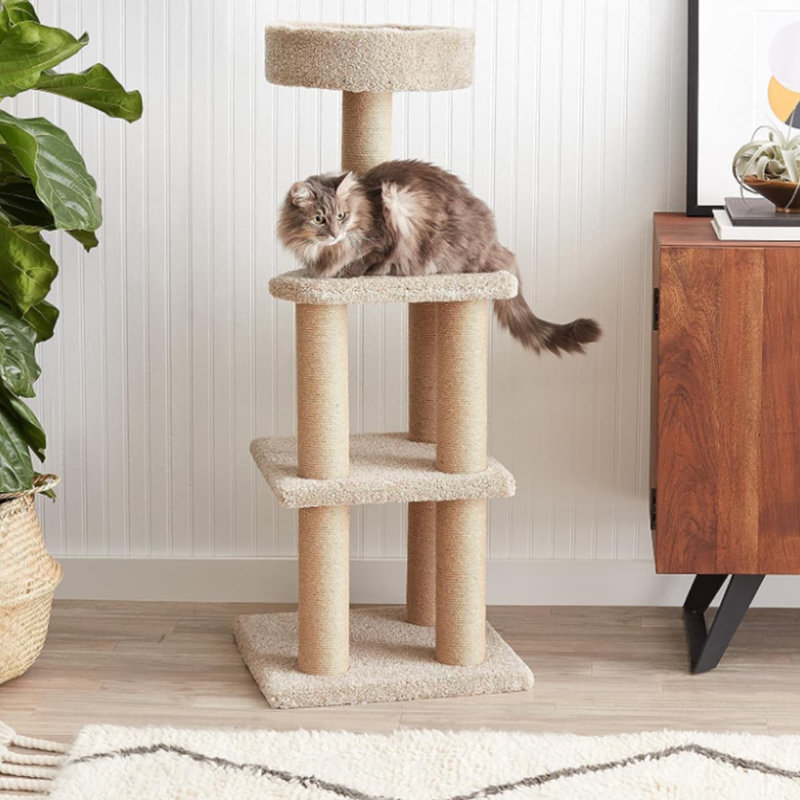 Emmersyn 45.88'' H Cat Tree