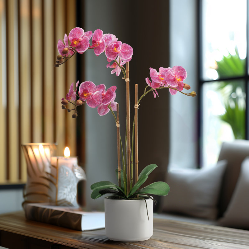 24" Real Touch Faux Pink Orchid Flowers in White Ceramic Pot