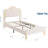 Twin XL Velvet Bed Frame with LED Headboard  Footboard  Princess Platform for Kids  Slats  Beige-682560428-682560426
