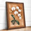 White Orchid Study Botanical - Print-158848833-158848862