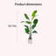 Plantes artificielles réalistes pour la décoration intérieure