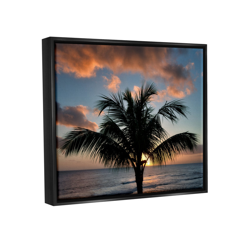 «Stupell Industries Tropical Palm», reproduction d'art sur toile par Dennis Frates, Cadre flottant noir de jais