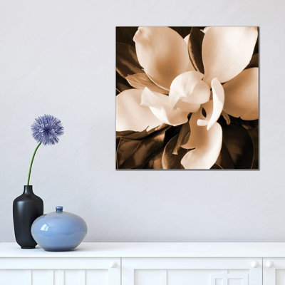 Sepia Magnolia I by Christine Zalewski - Wrapped Canvas Print