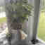 Customer photo 1 of 4