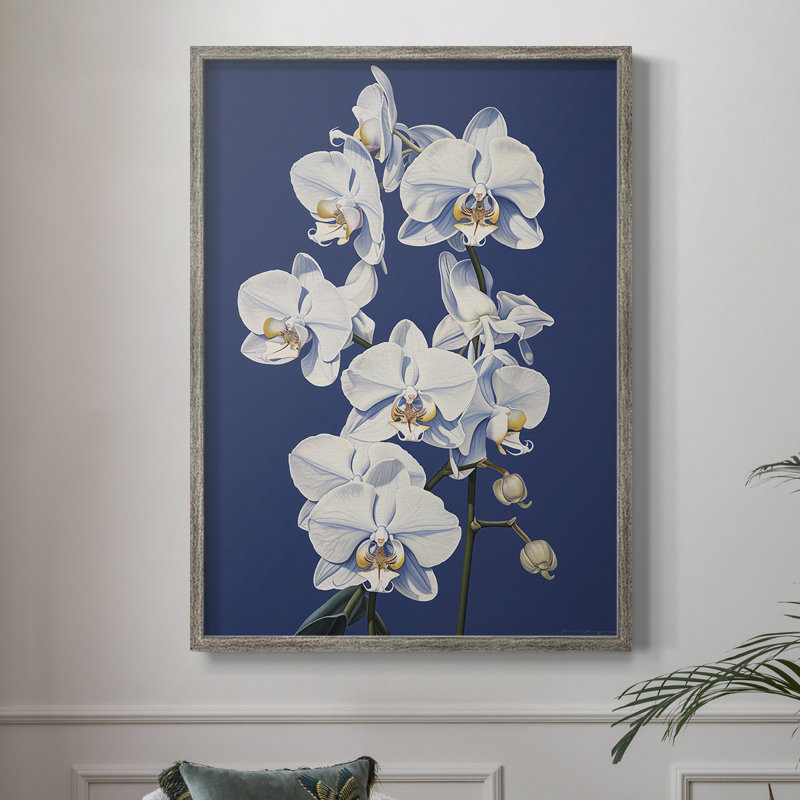 «FLORAL Series CLxxxi», reproduction encadrée - bois massif, H 15 po x l 12 po