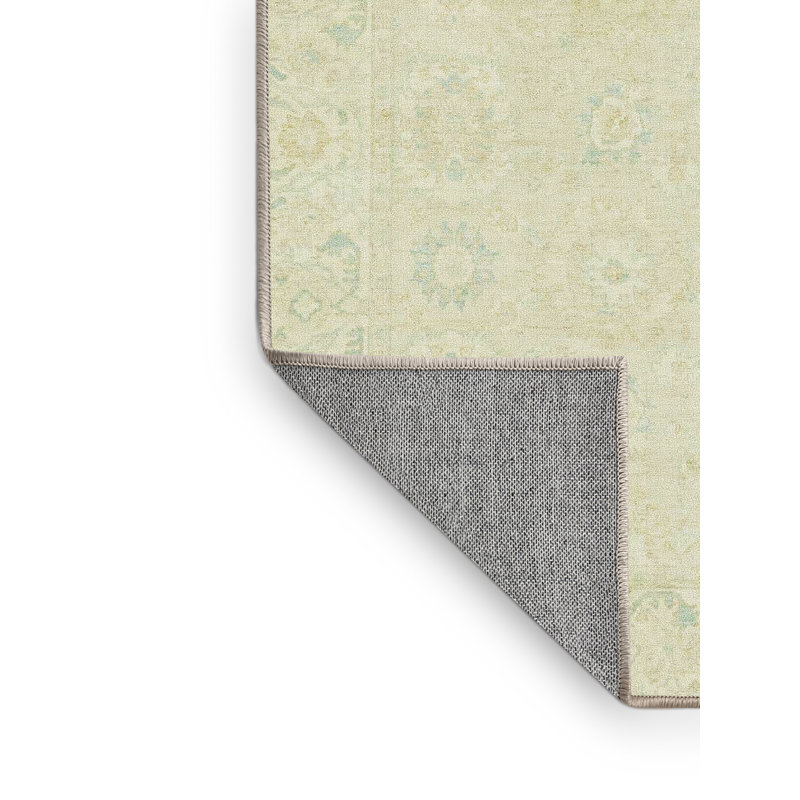 Oriental Indoor Rug, Rectangle 5' x 7'