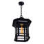 Luminaire suspendu d'extérieur moderne 1 lumière Rigdon pour patio, jardin et cour arrière