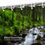 Rideau de douche avec 12 crochets Mountain River Forest-1108909669