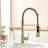 Pull Down Kitchen Faucet-125337517