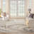 Abstract Machine Woven Area Rug in Cream/Grey-89957680