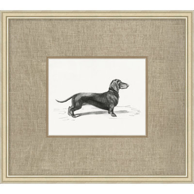Canine Heirloom 3