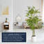 Plante artificielle réaliste en bambou artificiel pour la décoration intérieure, le salon ou le bureau - 60 po