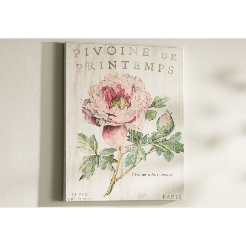 «Pivoine de Printemps», impression, H 36 po x l 29 po x P 1,5 po, Toile