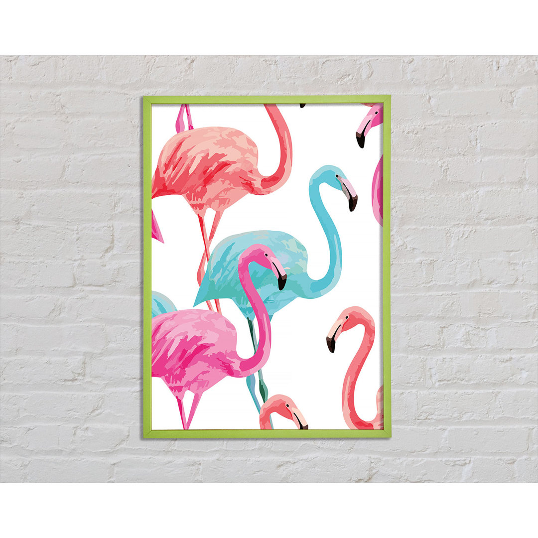 Flamingo Farben - Druck