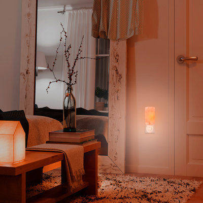 Barrick Himalayan Cylinder Night Light