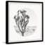 « désert épiphytes » : cadre photo imprimé sur papier-363758126