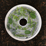Nesco Clean- A-Screen® For 4 Tray 500-Watt Food Dehydrator