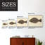 «Saltwater Species IV», reproduction encadrée-1670462312-1670462314