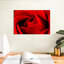 Harnek, gros plan d'une rose rouge-108730489