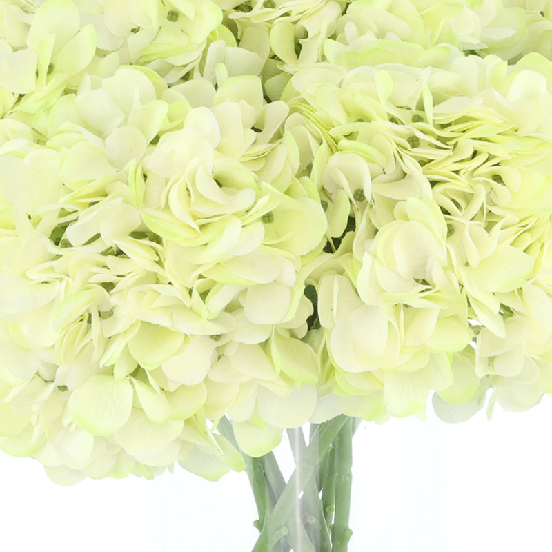 Hydrangeas Arranged in a Glass Vase