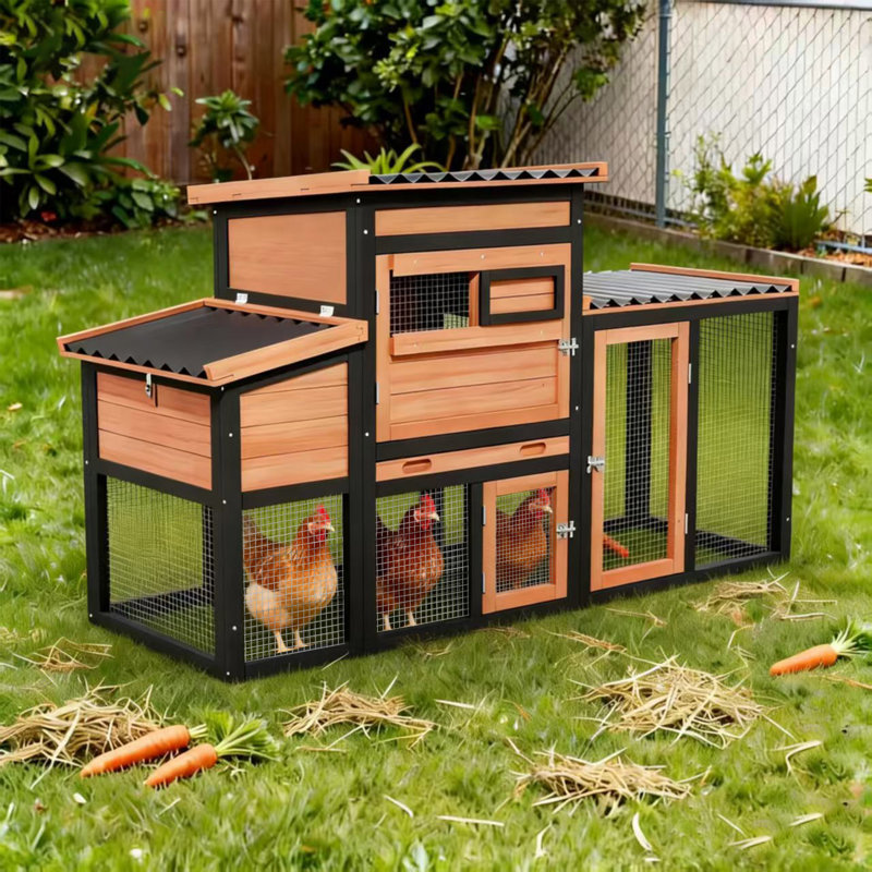 Poulailler en bois résistant aux intempéries avec toit ouvrant et fenêtre coulissante pour 4 poules adultes