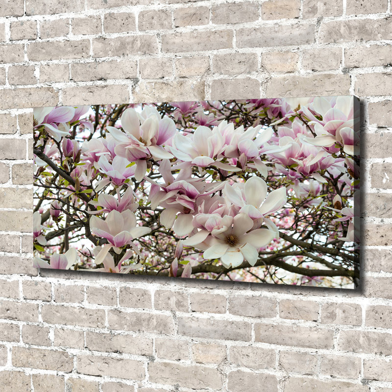Magnolia Flowers - Wrapped Canvas Print, Canvas, 70cm H x 140cm W