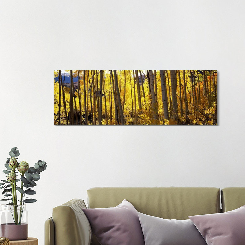 Aspen Trees In Autumn, Colorado, USA - Wrapped Canvas Panoramic Print, 121.92 cm H x 40.64 cm W x 1.91 cm D
