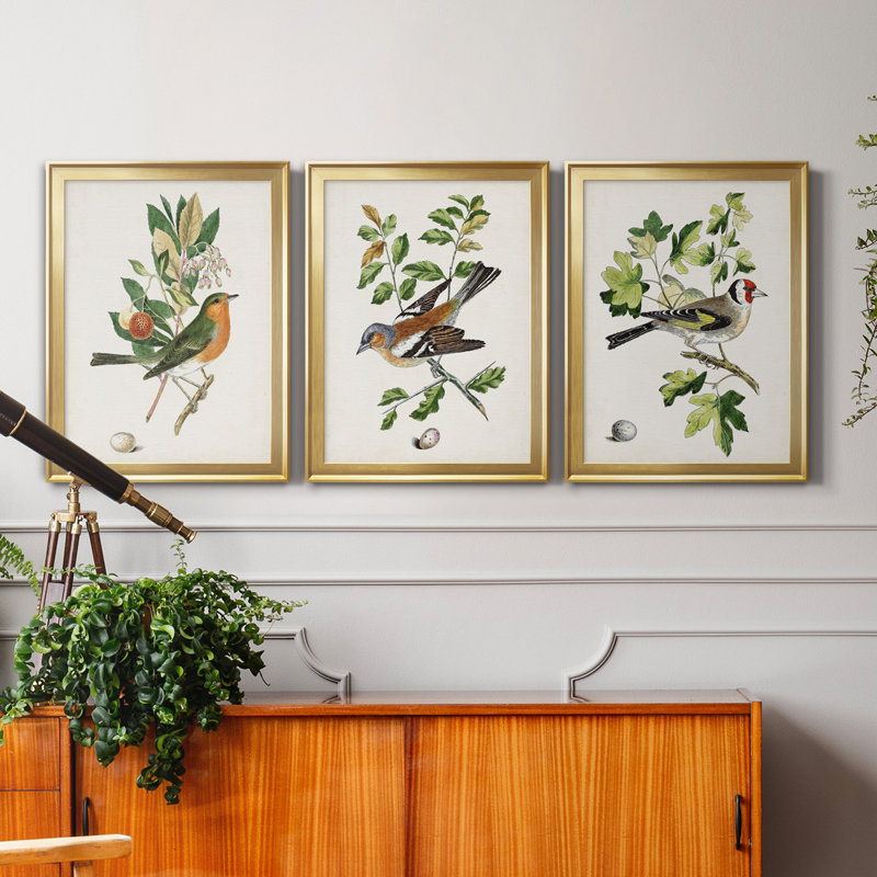 Oiseau antique, botanique et œuf I - ensemble de 3 peintures sur toile encadrées, H 22,5 po x l 91,5 po x P 1,5 po, Doré