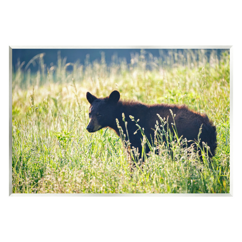 «Baby Bear Tall Grassland Floater» par Rick Berk, H 10 po x l 15 po x P 0,5 po, Bois