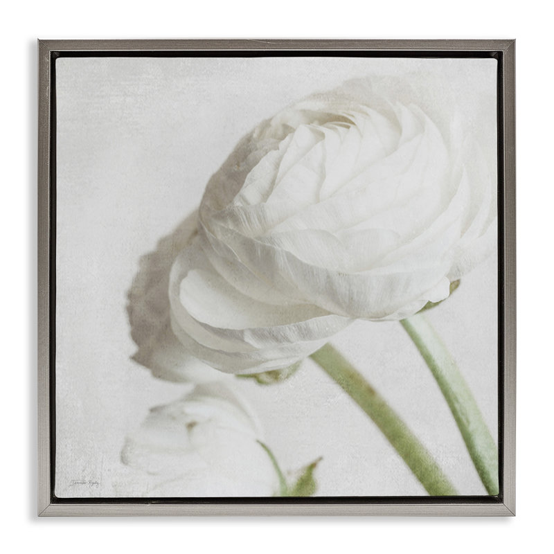 Charmante pivoine blanche encadrée par Jennifer Rigsby, Cadre flottant gris lustré, H 18 po x l 18 po
