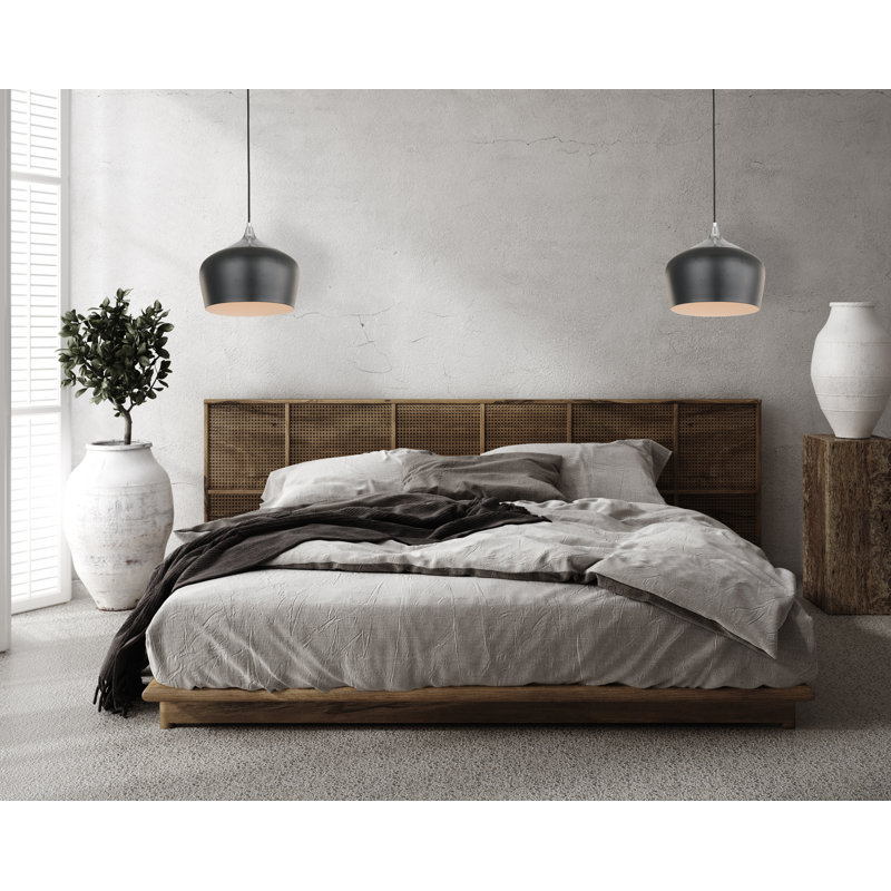 Arceneaux 1 - Light Dome Pendant, Black