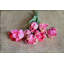 Tulip Still Life 1 Piece Wrapped Canvas Wall Art-1793145359