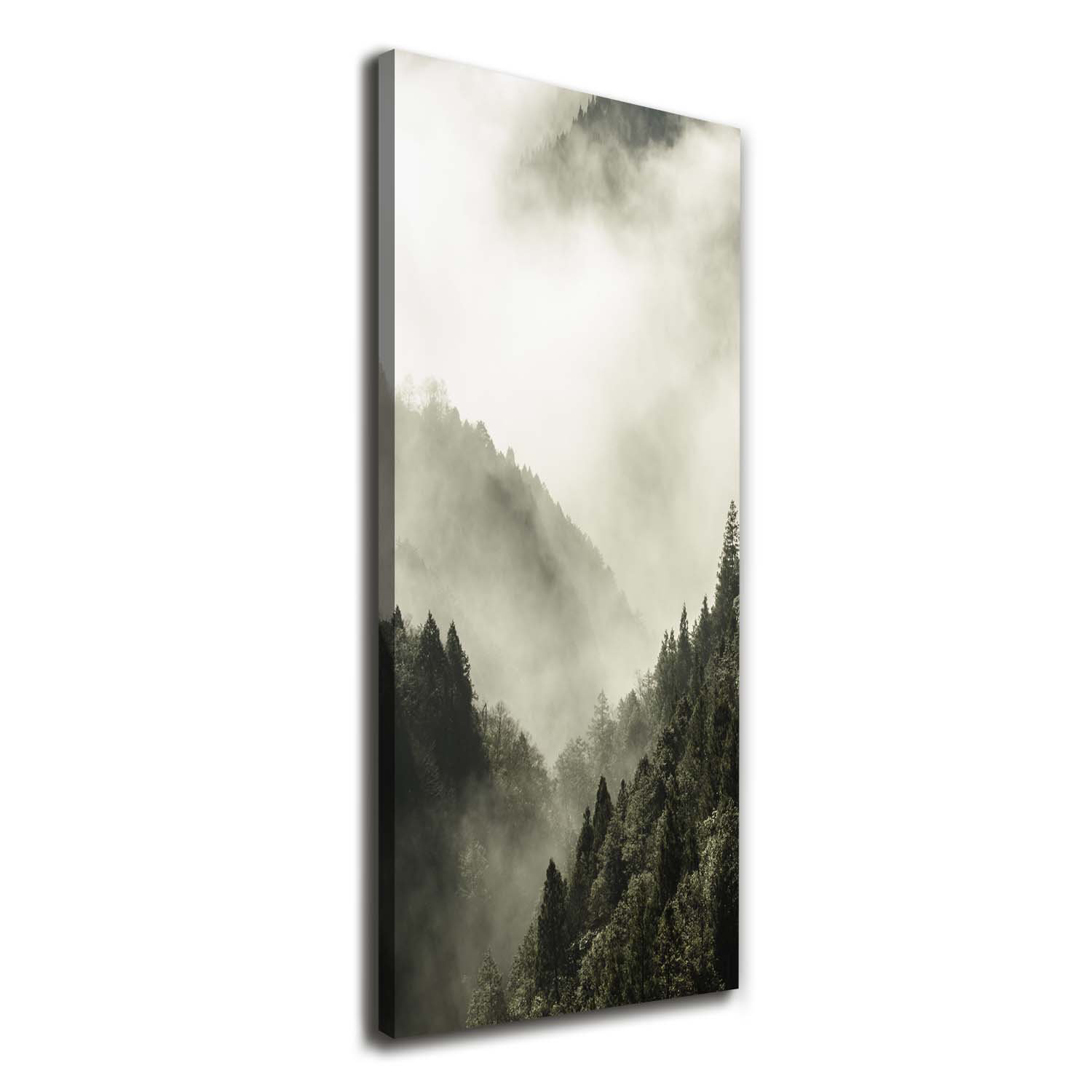 Union Rustic Fog over the Forest - Wrapped Canvas Art Prints | Wayfair ...