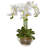 Orchid Arrangement in Vase-1890824218