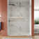 Concord 56" - 60" W x 76" H Double Sliding Frameless Shower Door with 3/8" Tempered Glass, Stainless Steel Accessories