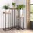Billye Iron Plant Stand 1 Tier Set of 3