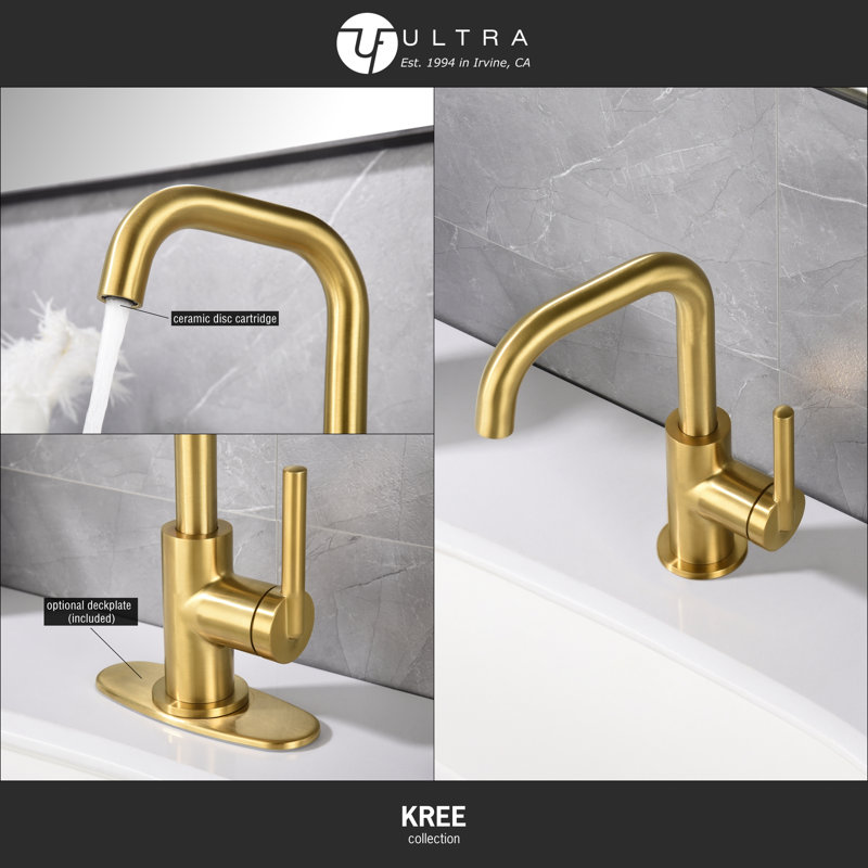 Matte Black Single-Handle Bathroom Faucet with Drain Assembly