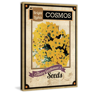 Flower Packet Cosmos - Wrapped Canvas Print