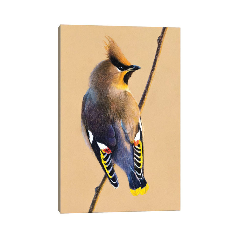 «Bohemian Waxwing» par Mikhail Vedernikov - Toile tendue, estampe numérique sur toile tendue, H 12 po x l 8 po x P 0,75 po