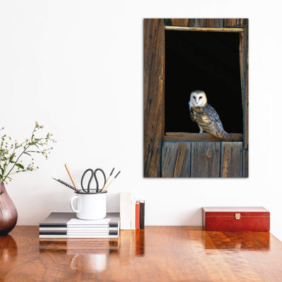 Barn Owl Perching On Barn Window, North America by Konrad Wothe - Wrapped Canvas Print