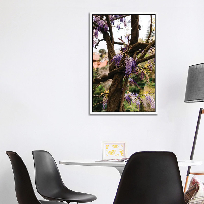 Positano Blooms VI by Bethany Young - Print on Canvas, White Framed, 101.6cm H x 66.04cm W x 3.81cm D