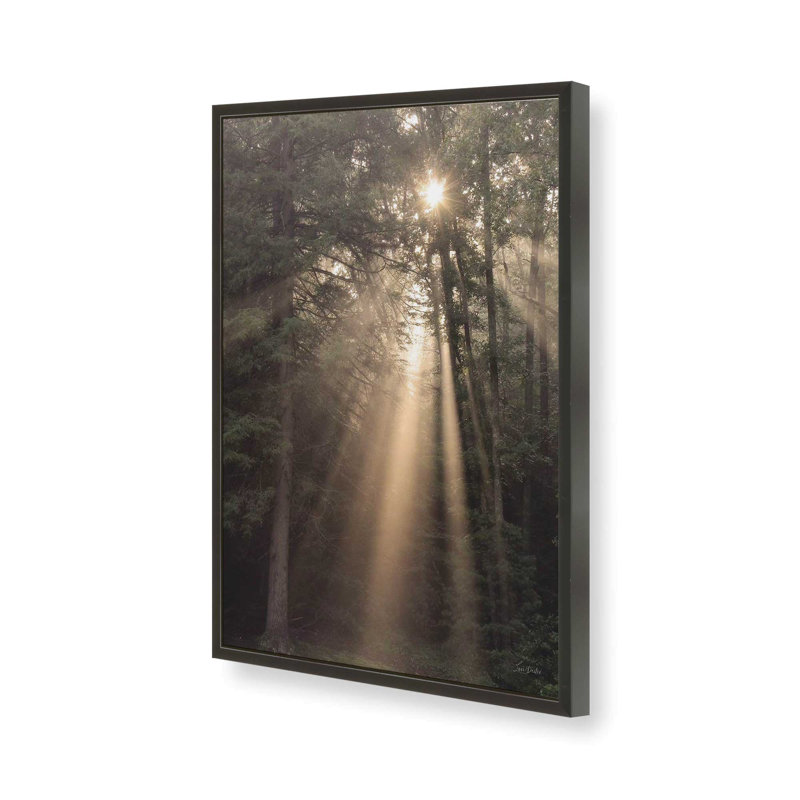 «Enlighten Your Soul» par Lori Deiter, reproduction d'art, 32 W x 48 H, Black, Framed Print