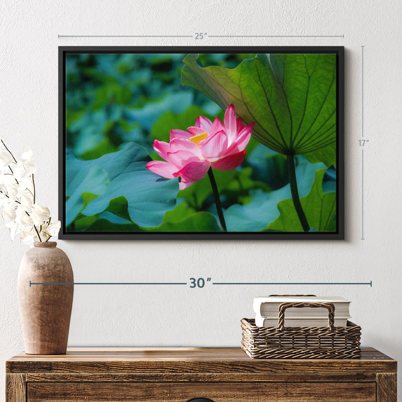 Floral et botanique «Fleur de lotus sauvage», H 17 po x l 25 po