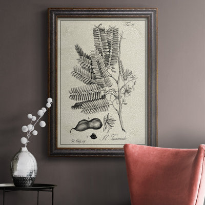 Toile encadrée de qualité supérieure antique botanique noir et blanc prête à accrocher