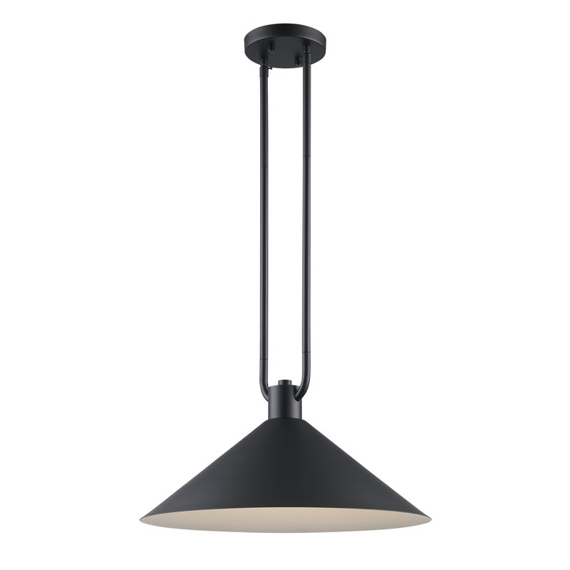 Fayra Industrial Pendant, Black, 11.75" H x 17" W x 17" D