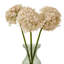 Arrangement-128130318-128130313