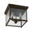 Delila Glass Flush Mount